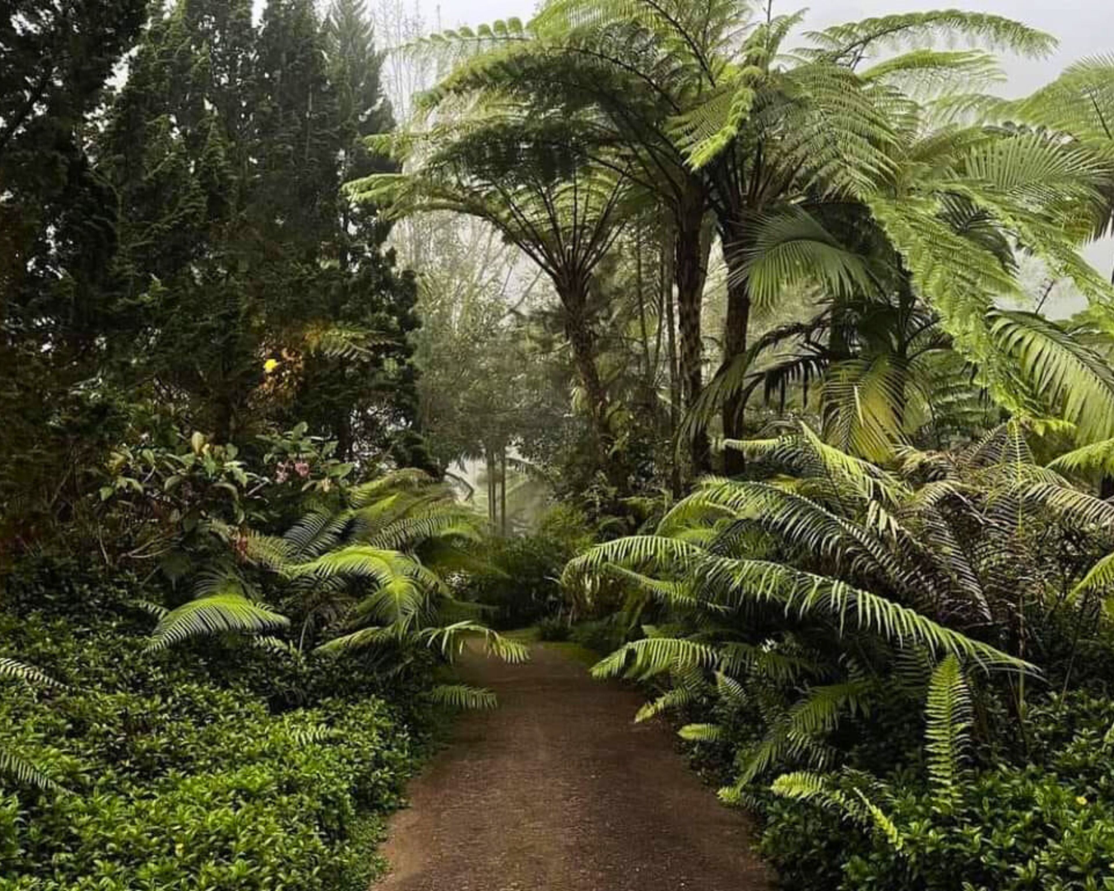 经典平房 | 花园景观