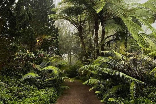 Classic Room | Garden view
