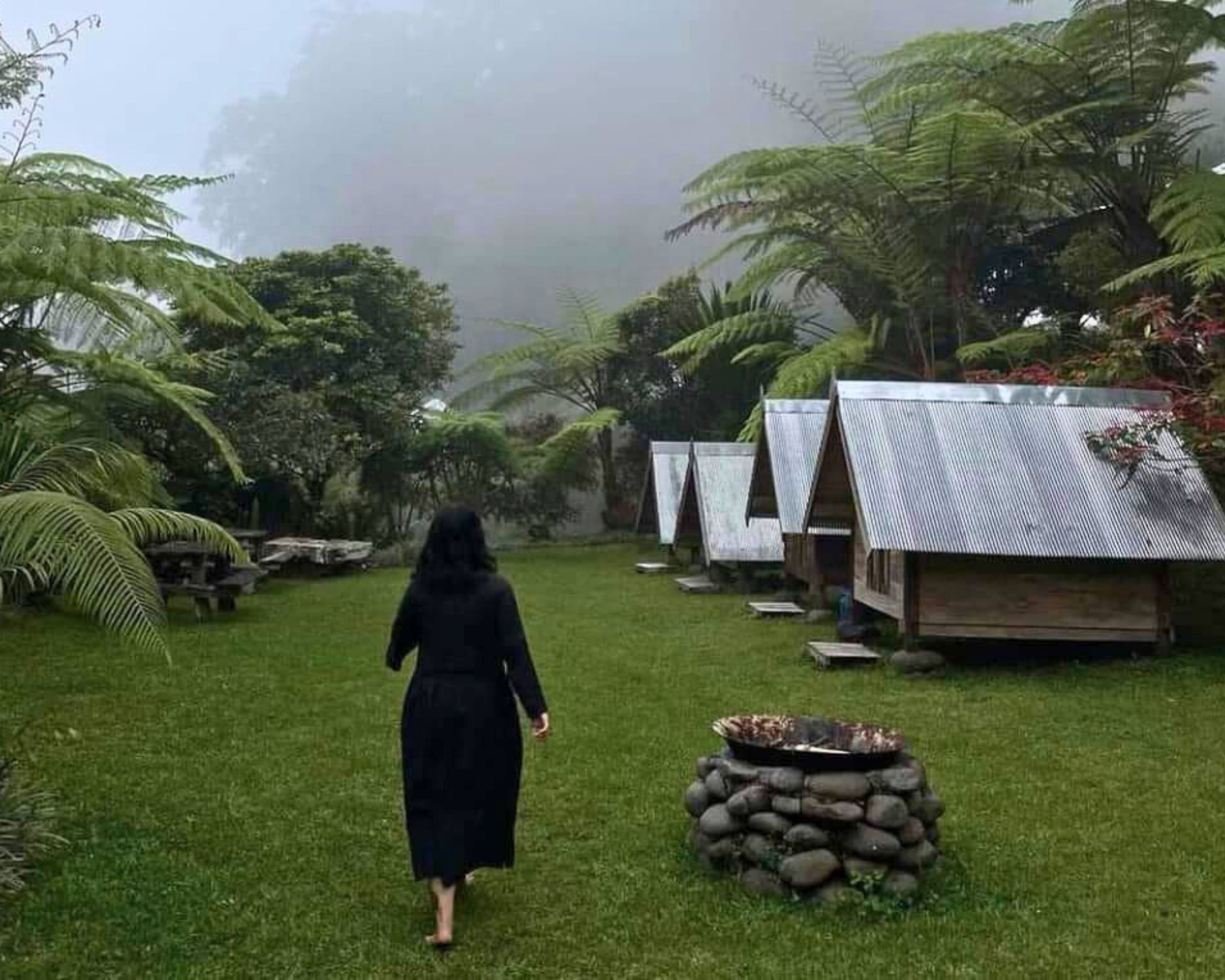A person walking in a garden with ferns and small huts.