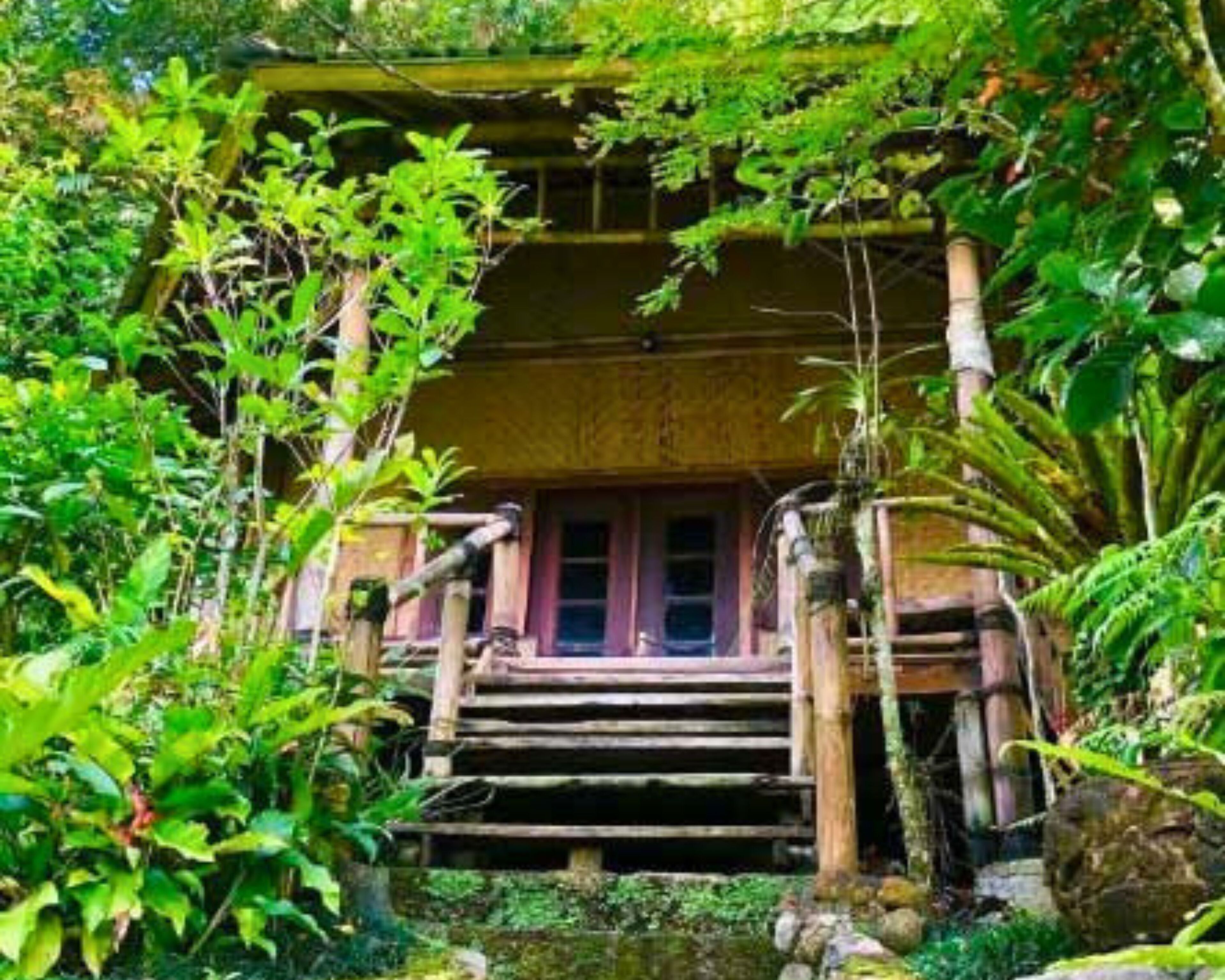 Bungalow, balcon, vue jardin | Bureau, Wi-Fi gratuit, draps fournis
