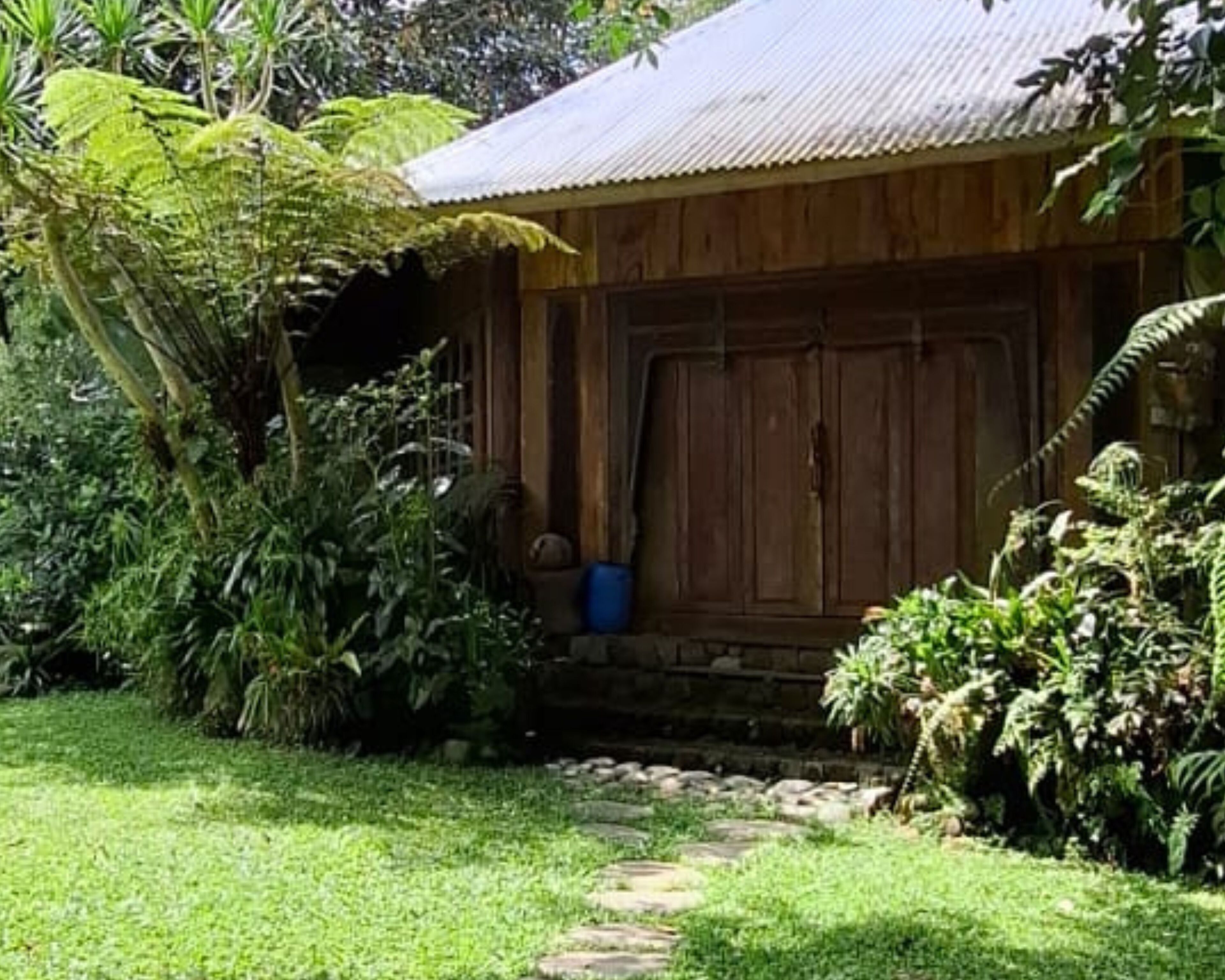 A wooden house with a metal roof, surrounded by lush greenery and a stone pathway leading to the entrance.