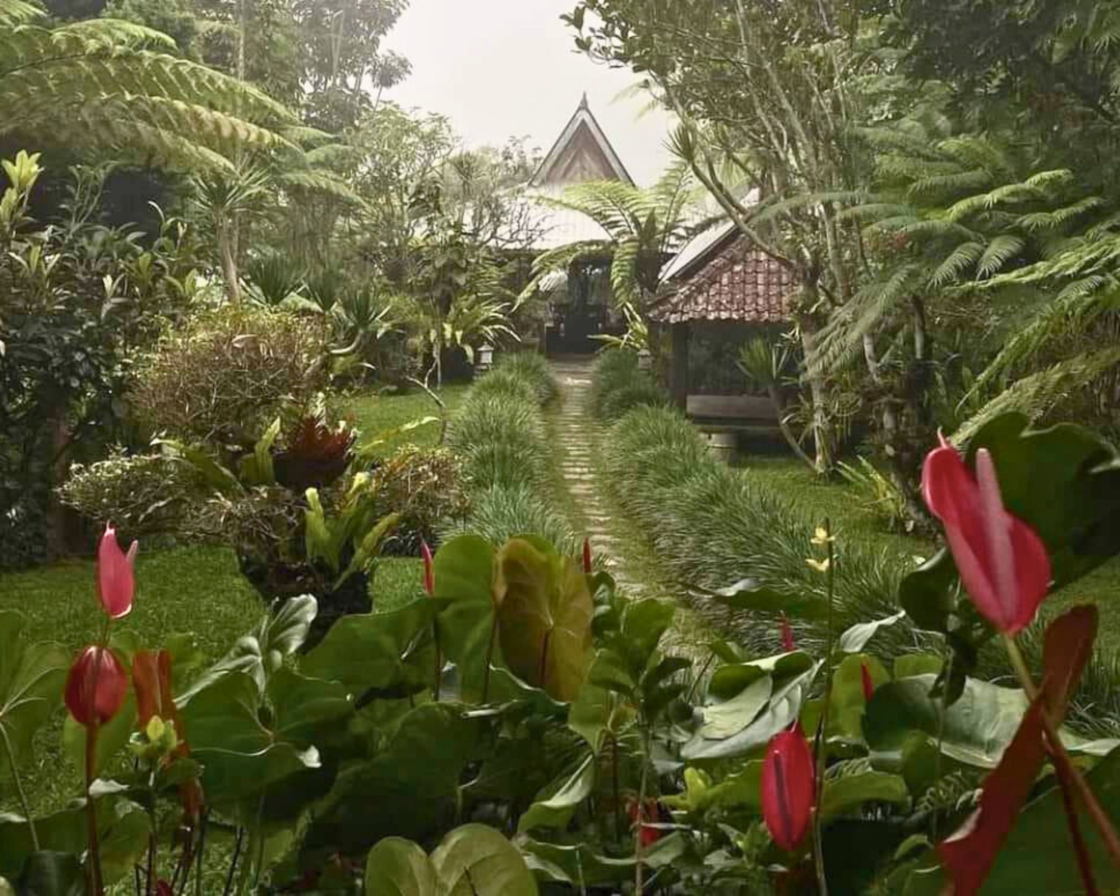 A garden pathway leading to a traditional house surrounded by lush greenery and tropical plants.