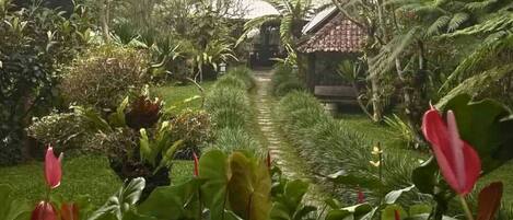 A garden pathway leading to a traditional house surrounded by lush greenery and tropical plants.