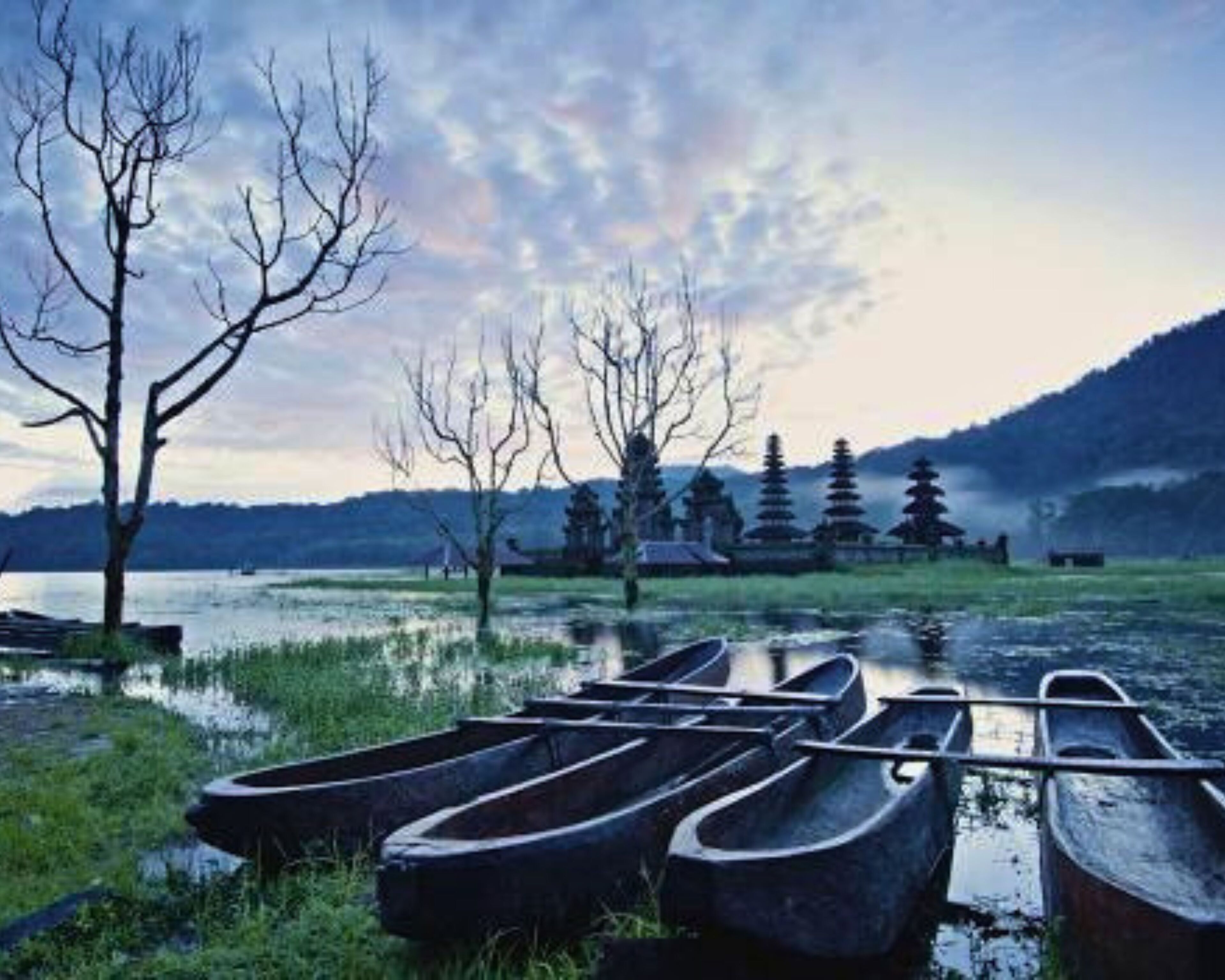 Una hilera de canoas junto a un lago tranquilo, con árboles desnudos y una montaña al fondo.