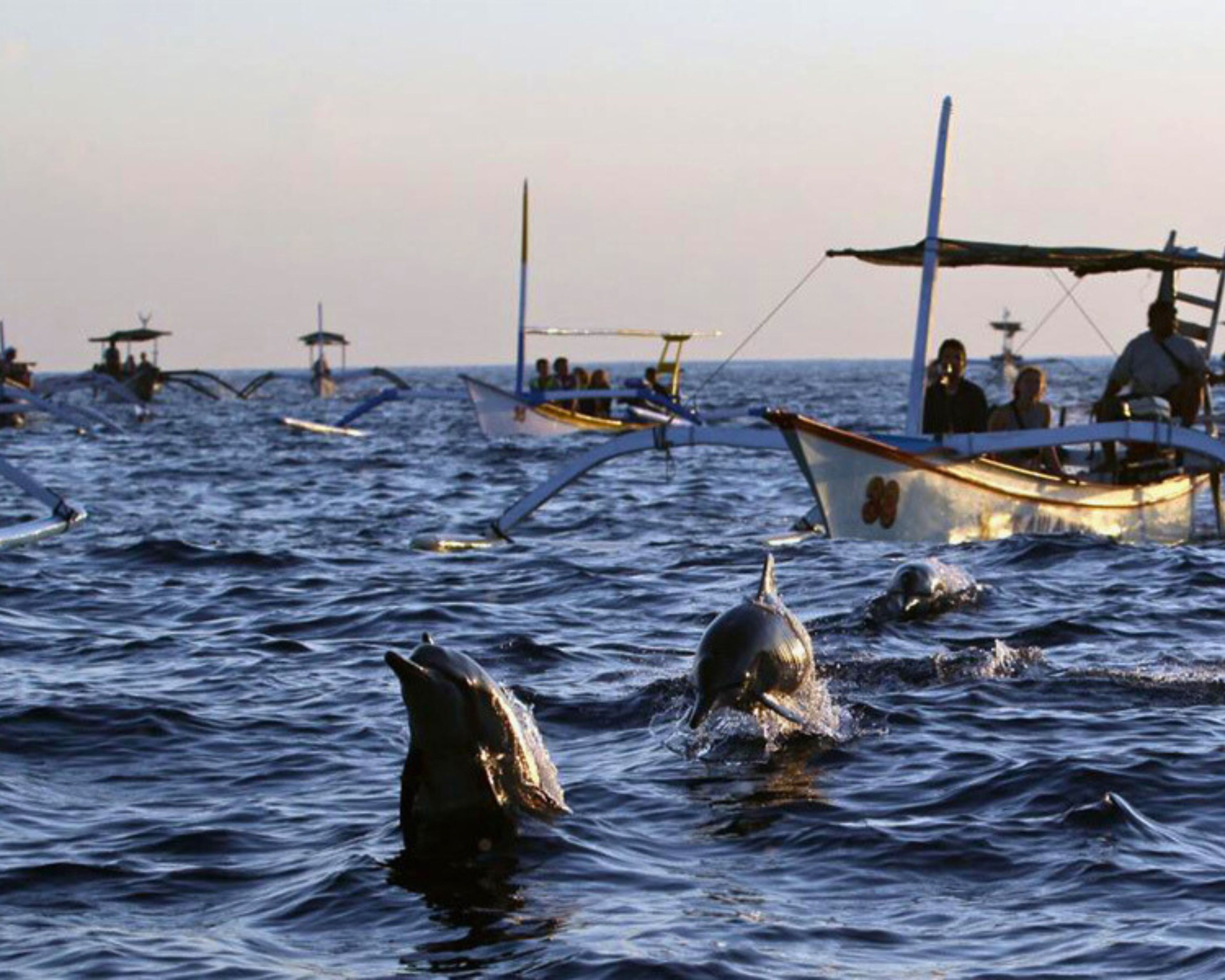 Un bateau avec des personnes à bord, sur l’eau.