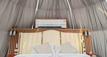 Thebest Capsule Resort