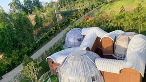 Un edificio moderno a forma di cupola con diverse stanze, circondato da una vegetazione lussureggiante e un vialetto lastricato.