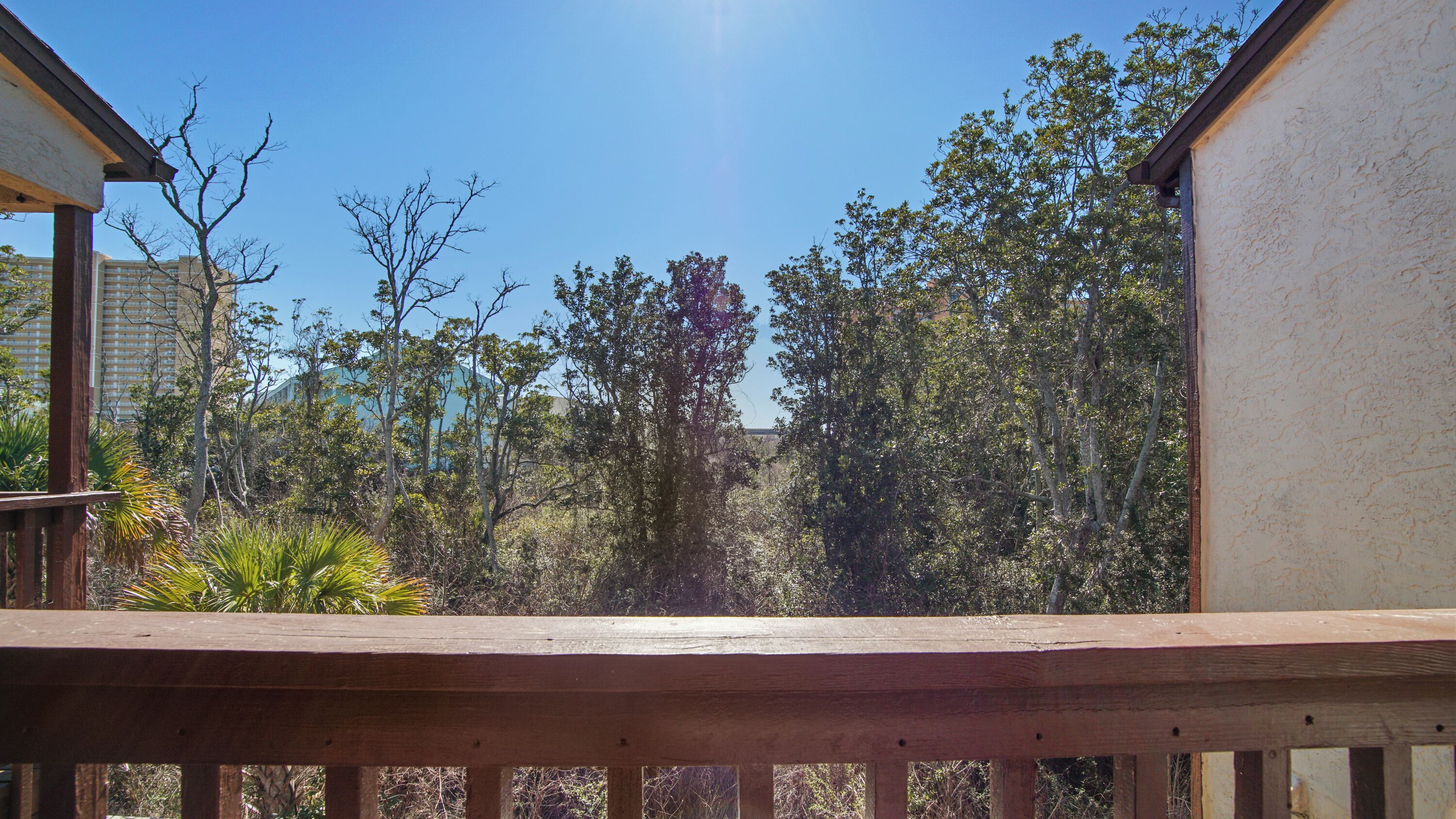 Un balcon donnant sur une forêt dense, avec un bâtiment visible au loin.