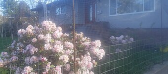 Private & Quiet
Easy 2 Enjoy
Relaxing Patio & Yard
Ample Breakfast
EV Extra Beds