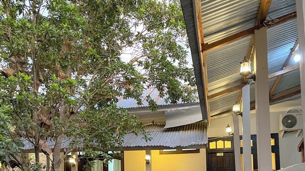 A covered outdoor seating area with wooden chairs and tables, surrounded by potted plants and a stone pathway. - DAlvin Homestay: Cozy, Central Labuan Bajo, Near Airport–Perfect for Your Stay! (Kabupaten Labuan Bajo)