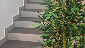 Uma escada com uma planta em vaso no primeiro plano.