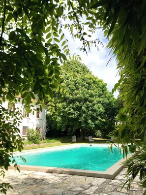 A swimming pool with a stone border, surrounded by greenery and a white building in the background.