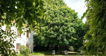 Belle maison avec grande piscine à l'eau de source aux portes des Cévennes
