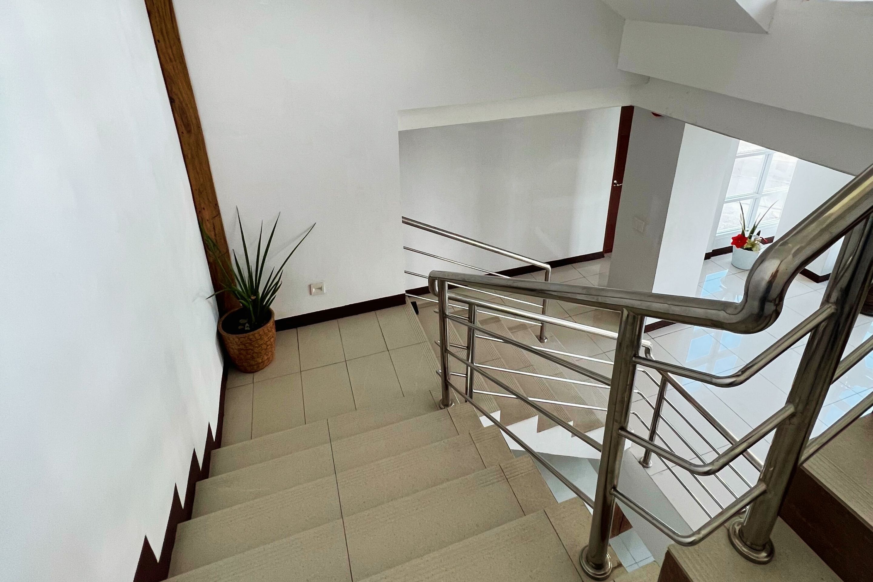 A staircase with metal railings and a potted plant on the left.