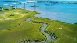 Eine große Hängebrücke über einem Fluss, im Vordergrund sumpfiges Grünland.