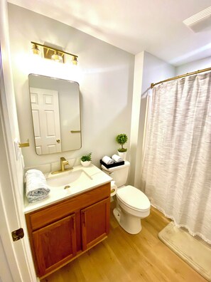 Hair dryer, towels, soap, toilet paper