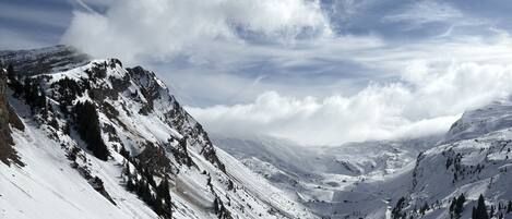 Lumi- ja hiihtourheilulajit