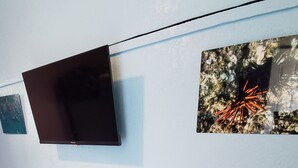 Una habitación con una televisión de pantalla plana montada en la pared, dos bancos de madera y una obra de arte también colgada.