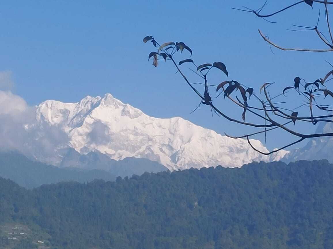 A snow-covered mountain range with a forested valley in the foreground.