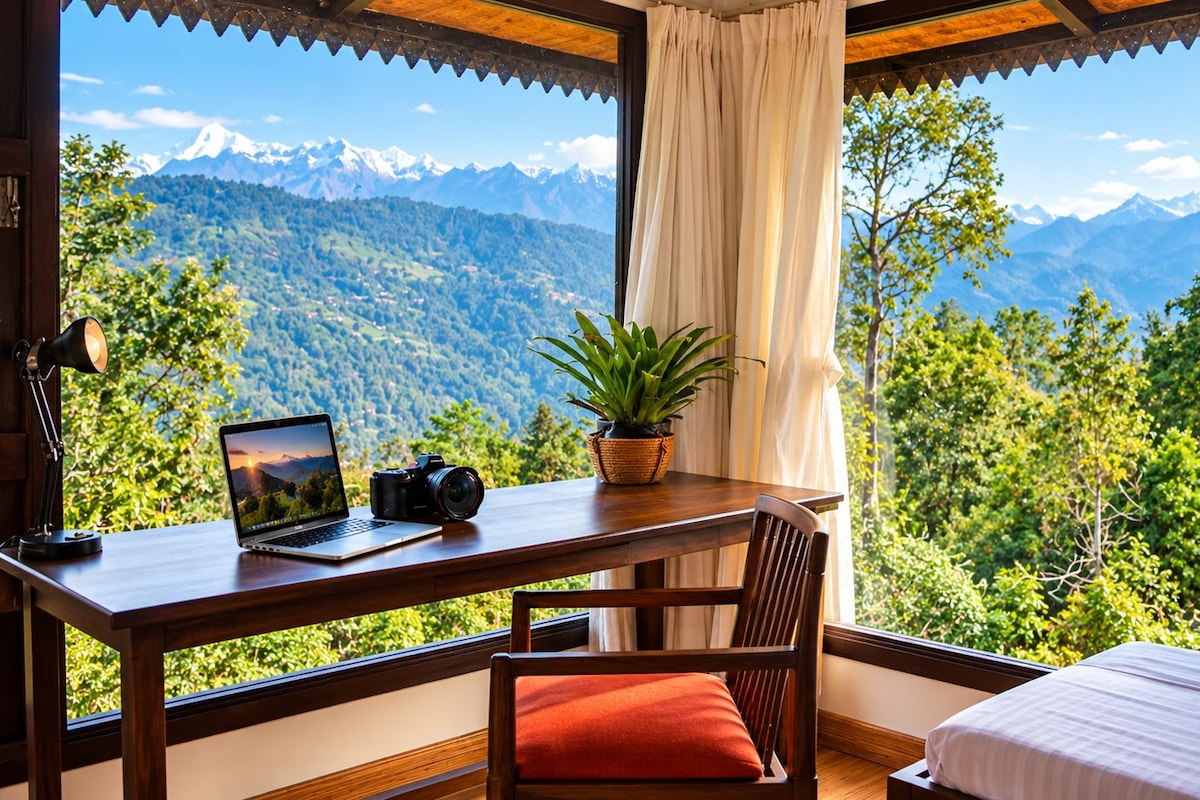 A room with a wooden desk, a laptop, a camera, and a plant.