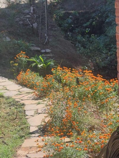 红熊猫丛林营地