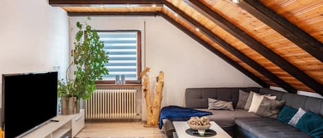 Fernseher