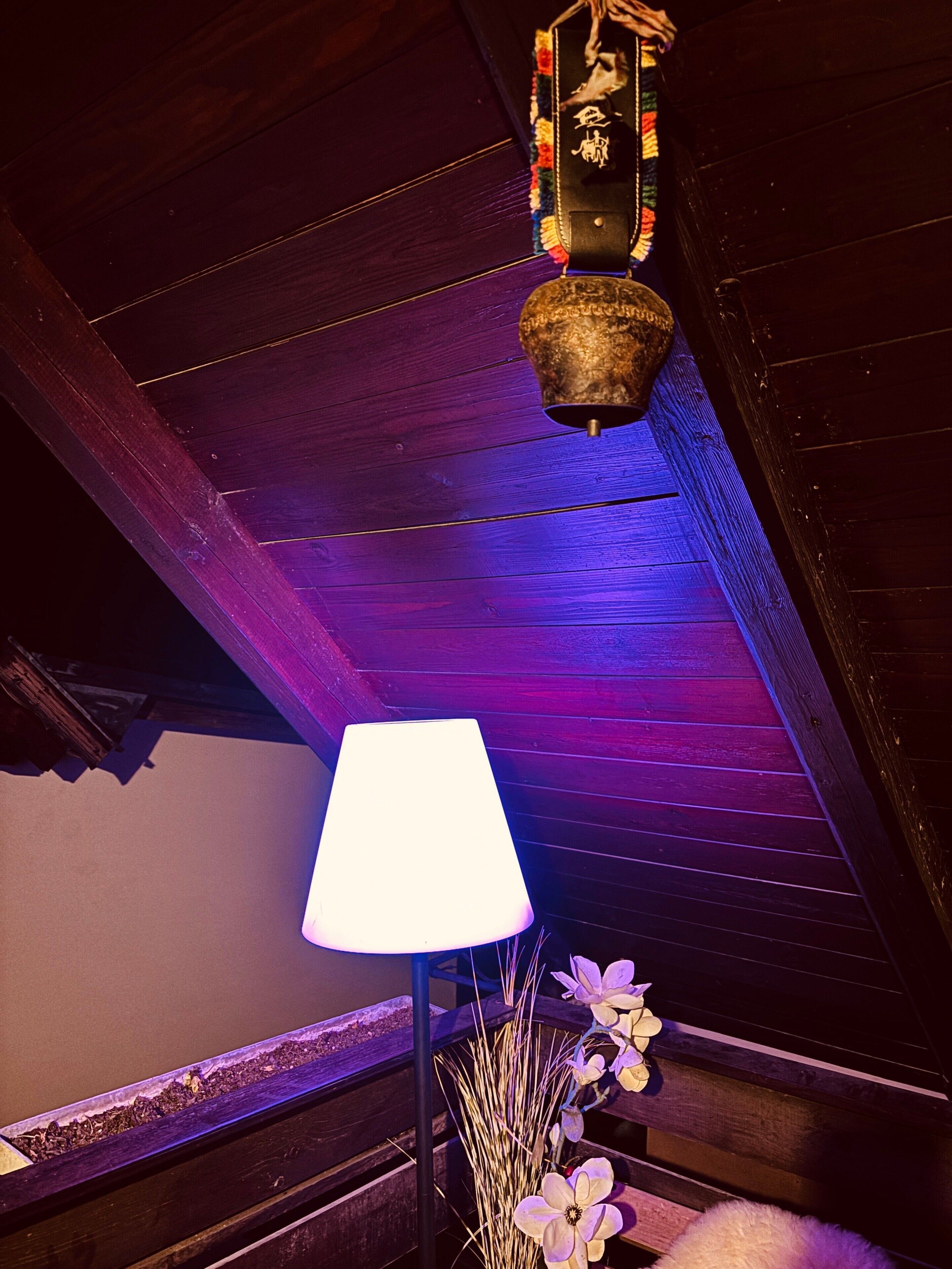 A room with a wooden ceiling, a hanging lantern, a table lamp, and a vase with dried plants.