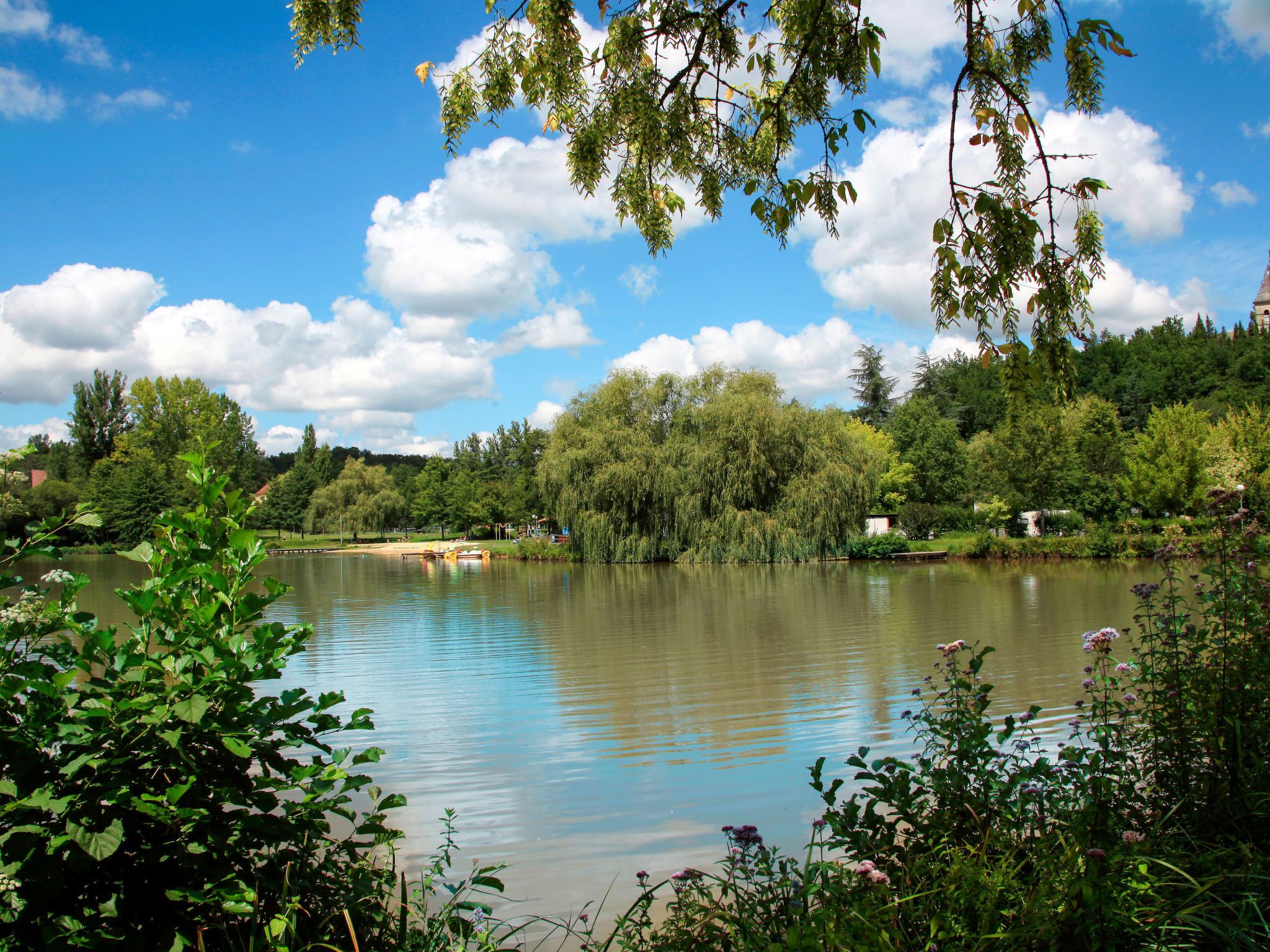 Un lac paisible, entouré d’une végétation luxuriante et d’arbres.