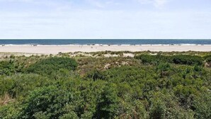 Ein Strand mit blauem Himmel, sandigem Ufer und dichter, grüner Vegetation im Vordergrund.