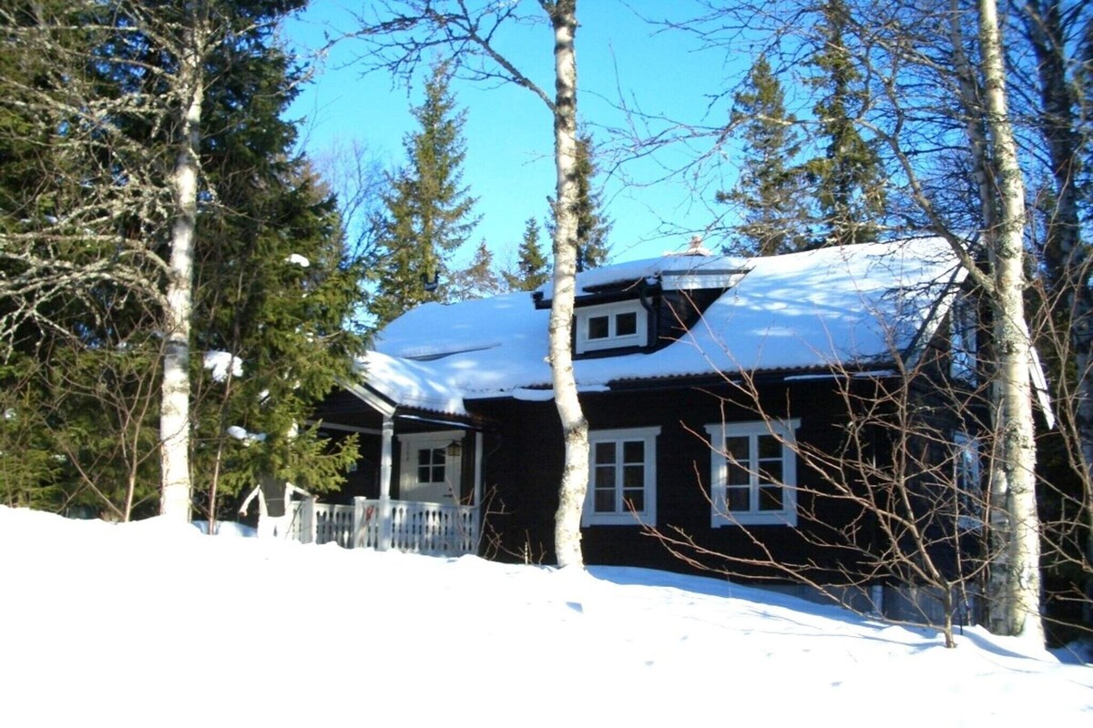 Värdens profilbild