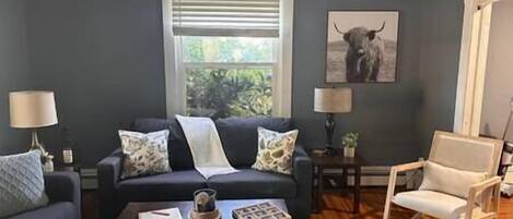 Televisión, chimenea