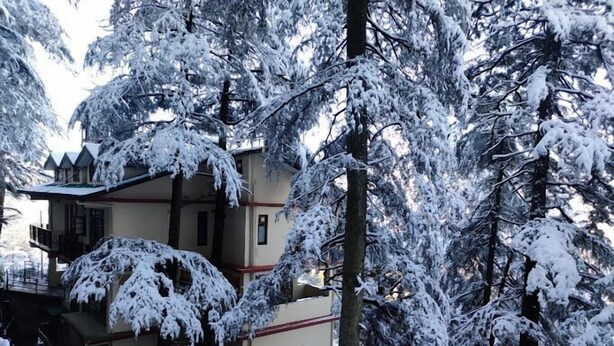 Um edifício de vários andares com árvores cobertas de neve e uma varanda.