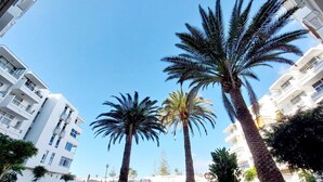 A pathway flanked by palm trees and modern buildings with balconies.