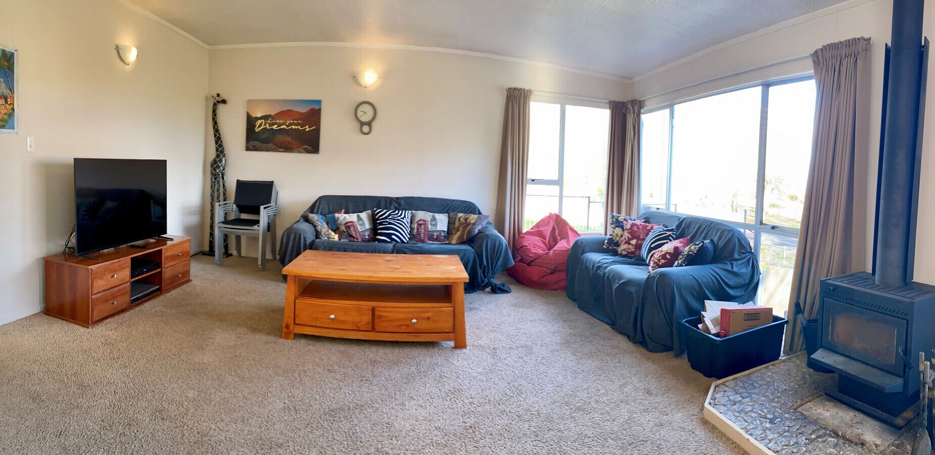 TV, fireplace, books