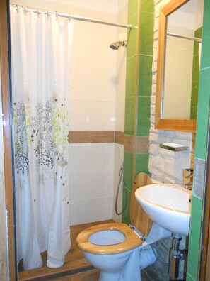 Hair dryer, towels, toilet paper