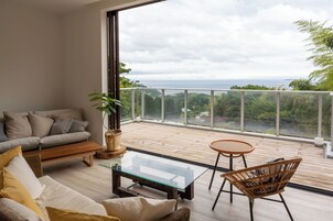 Televisión LCD 40 pulgadas con canales de televisión por cable, libros