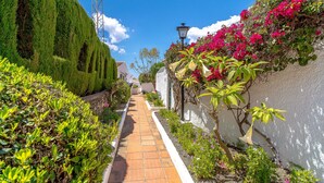 A narrow, paved pathway flanked by lush greenery and flowering plants, leading to a building with a white facade and a traditional lamp post.
