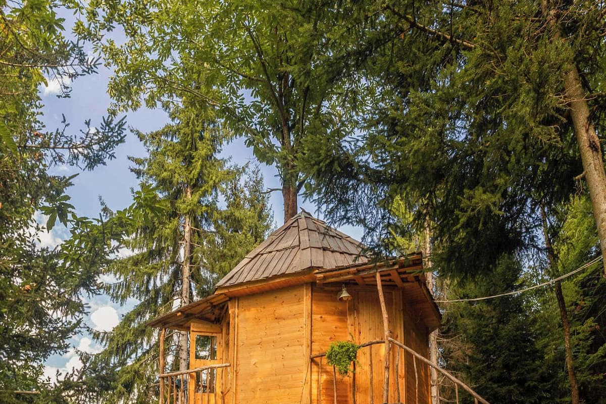 A wooden treehouse with a balcony and stairs, surrounded by dense forest.