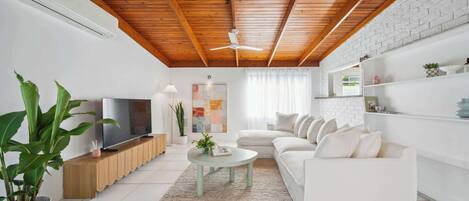 Televisio, kirjoja, työhuone