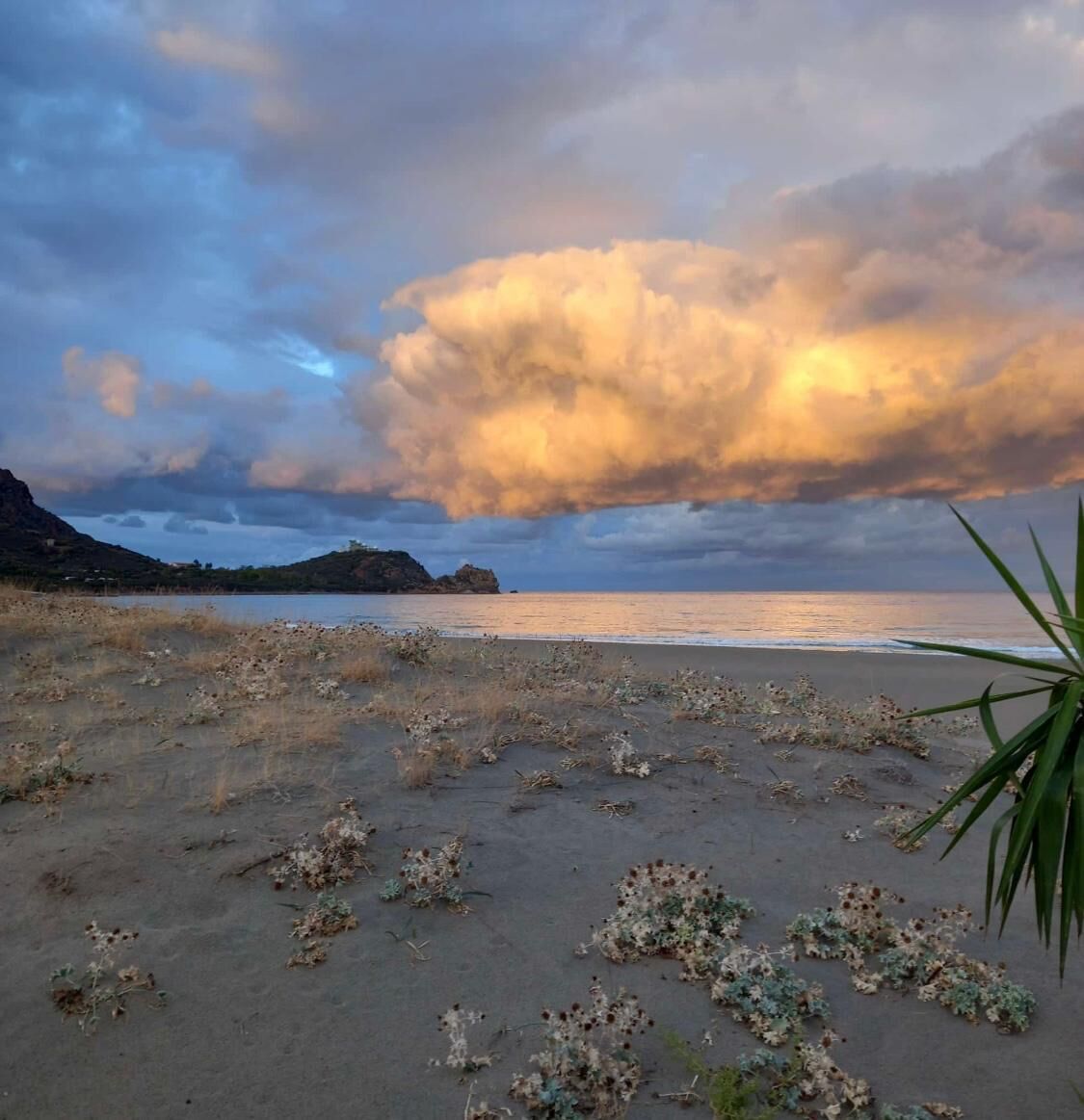 A beach with a large cloud formation and a mountain in the background.