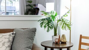 A living room with a sofa, a round table with a potted plant, a small figurine, and a chair. - Maple Suite Retreat: Arcade • Ping Pong • HomeGym • Toys • Pool • Playgrounds  (Meridian)