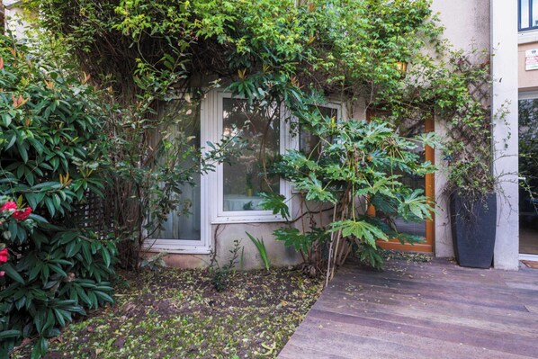 A garden with various plants and a window.