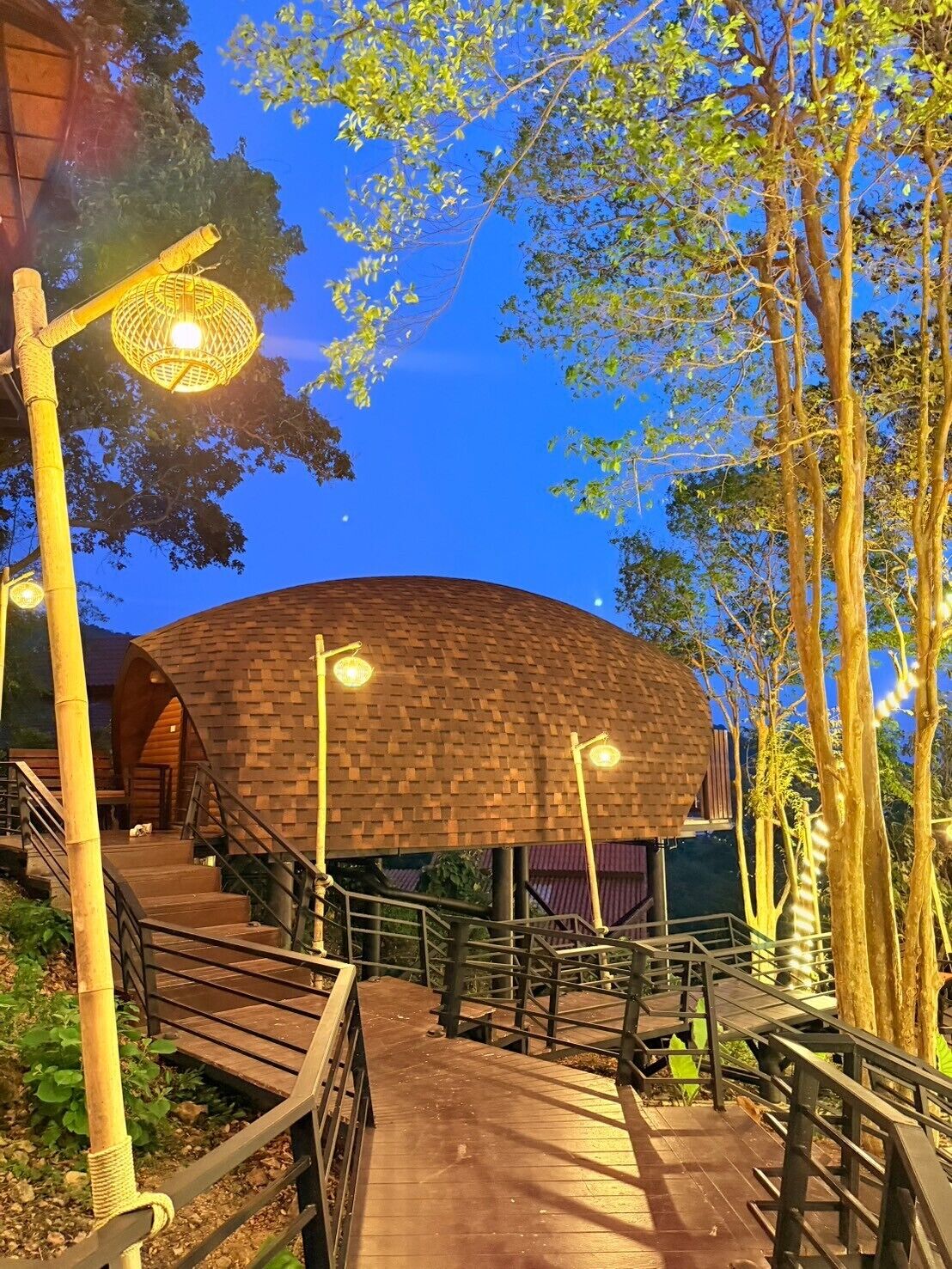 A wooden structure with a curved roof, surrounded by trees and a wooden walkway with railings.