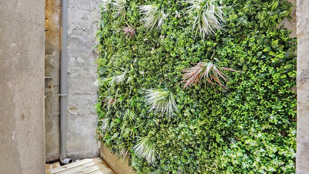 A narrow corridor with a vertical garden wall. - Amazing Studio - 2P - Arc de Triomphe (Paris)