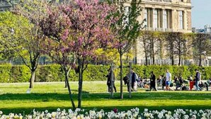 Un edificio histórico con arquitectura clásica, rodeado por un jardín bien cuidado con árboles florecientes y césped.