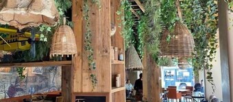 คายา ซูริก วีดิคอน