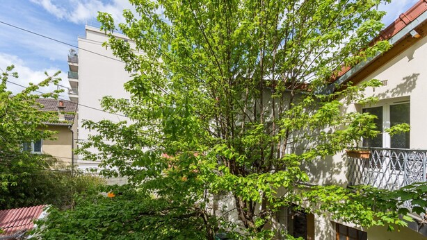 Ein Baum vor einem Gebäude mit einem Balkon.