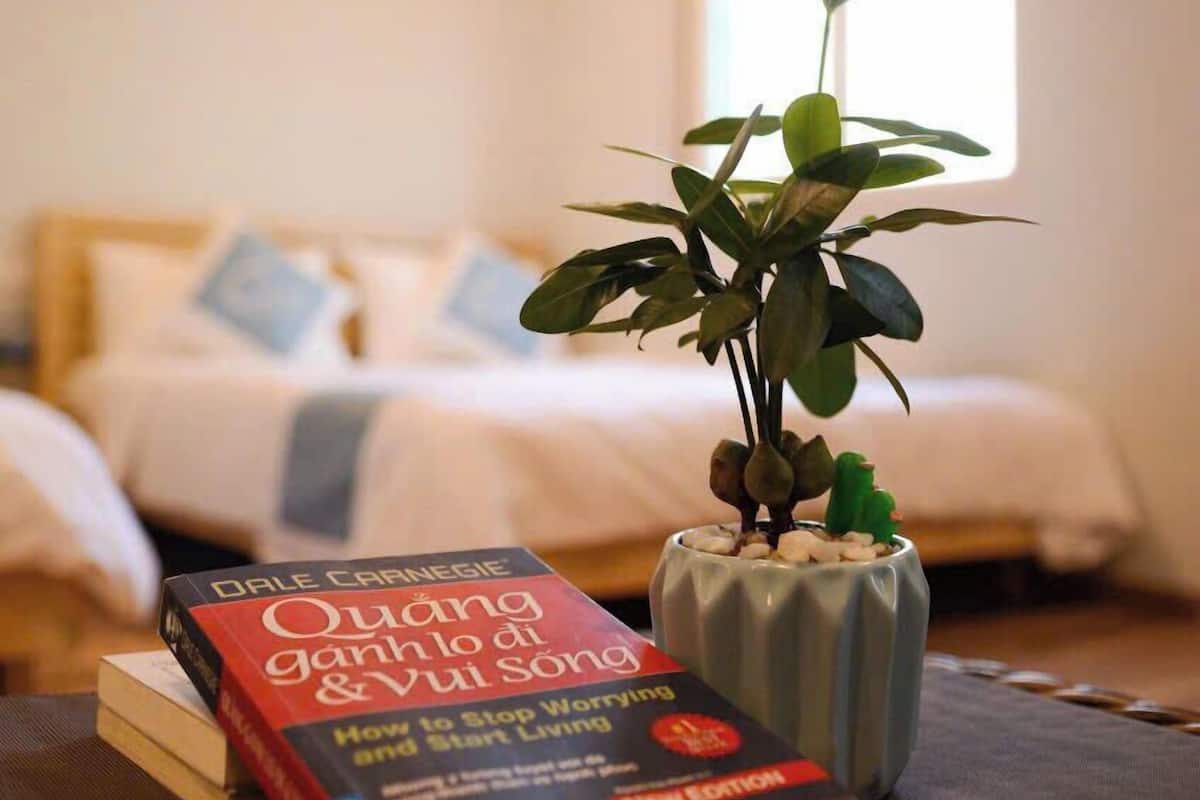 A bedroom with a bed, a bedside table with a book, a smartphone, and a potted plant.