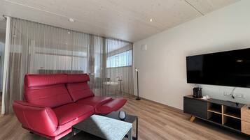 Fernseher, Stereoanlage