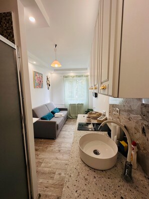 Standard Studio | Desk, free WiFi, bed sheets - Urban Studio for a Real Ghetto Experience (Craiova)